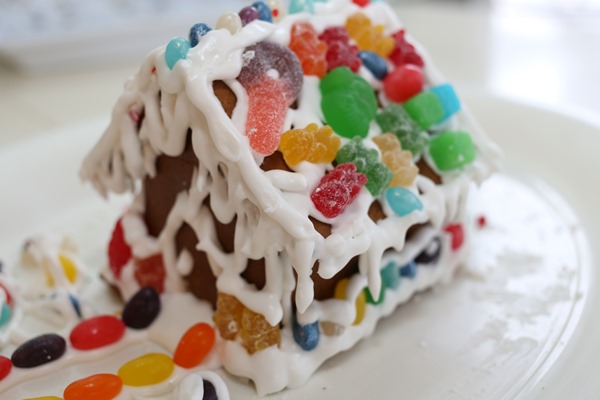 20161224 gingerbread house (10)