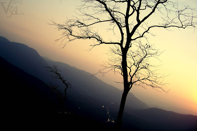 Sunset at Jeenukallu Gudda, Yellapur