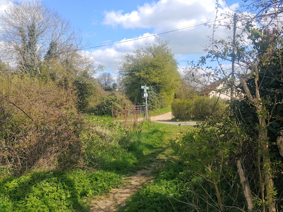 The junction at the start of Sandon footpath 33 (point 5)