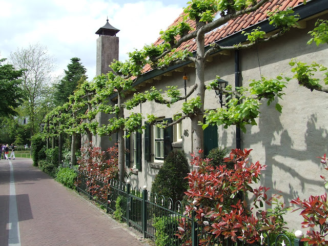 Het parkje in het oude centrum