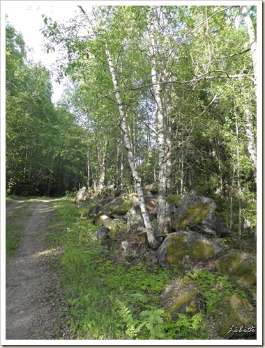 P6050538