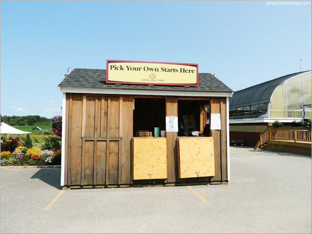 Granjas de Massachusetts: Pick Your Own de la Cider Hill Farm 