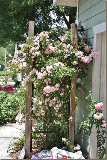 IMG_4073 IMG_4073
