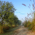 mustafaabad canal