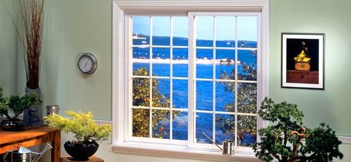 Luxury Windows