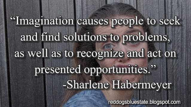 “Imagination causes people to seek and find solutions to problems, as well as to recognize and act on presented opportunities.” -Sharlene Habermeyer