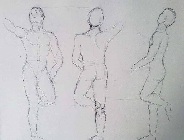 dibujo anatomico en tres vistas