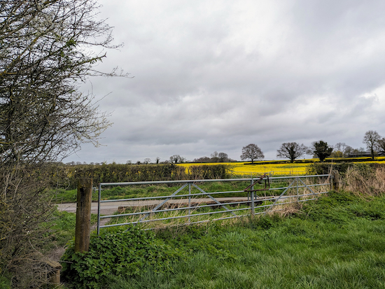 Turn right on Hammonds Lane