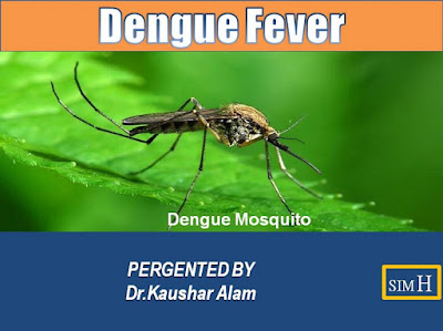 Dengue fever management