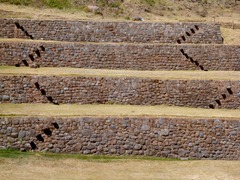 P1050216