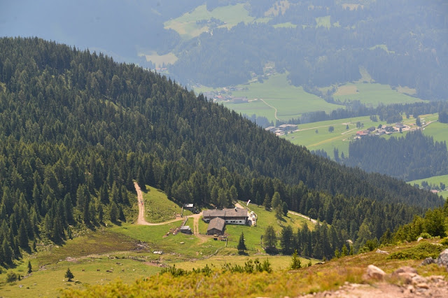 PANORAMA SU MALGA TESIDO