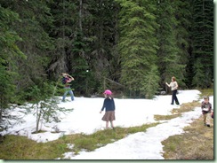 SnowBaseball