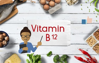 Which of The Following Foods Contains The Most Vitamin B12