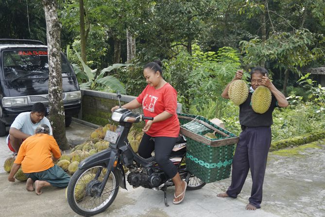 Mbok Dalmi memamerkan durian berukuran besar