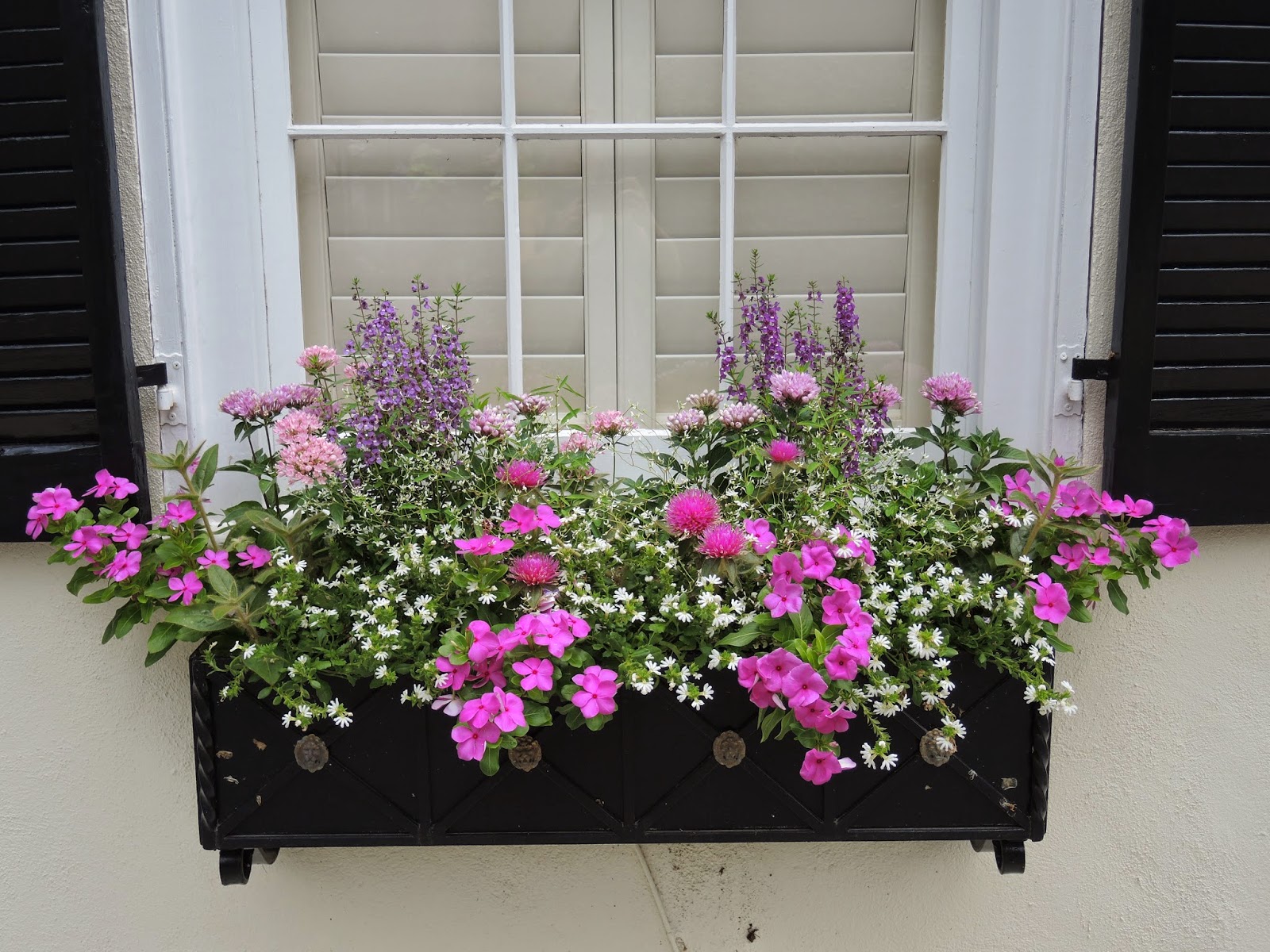 JLL DESIGN: Taking a Stroll: Window Boxes