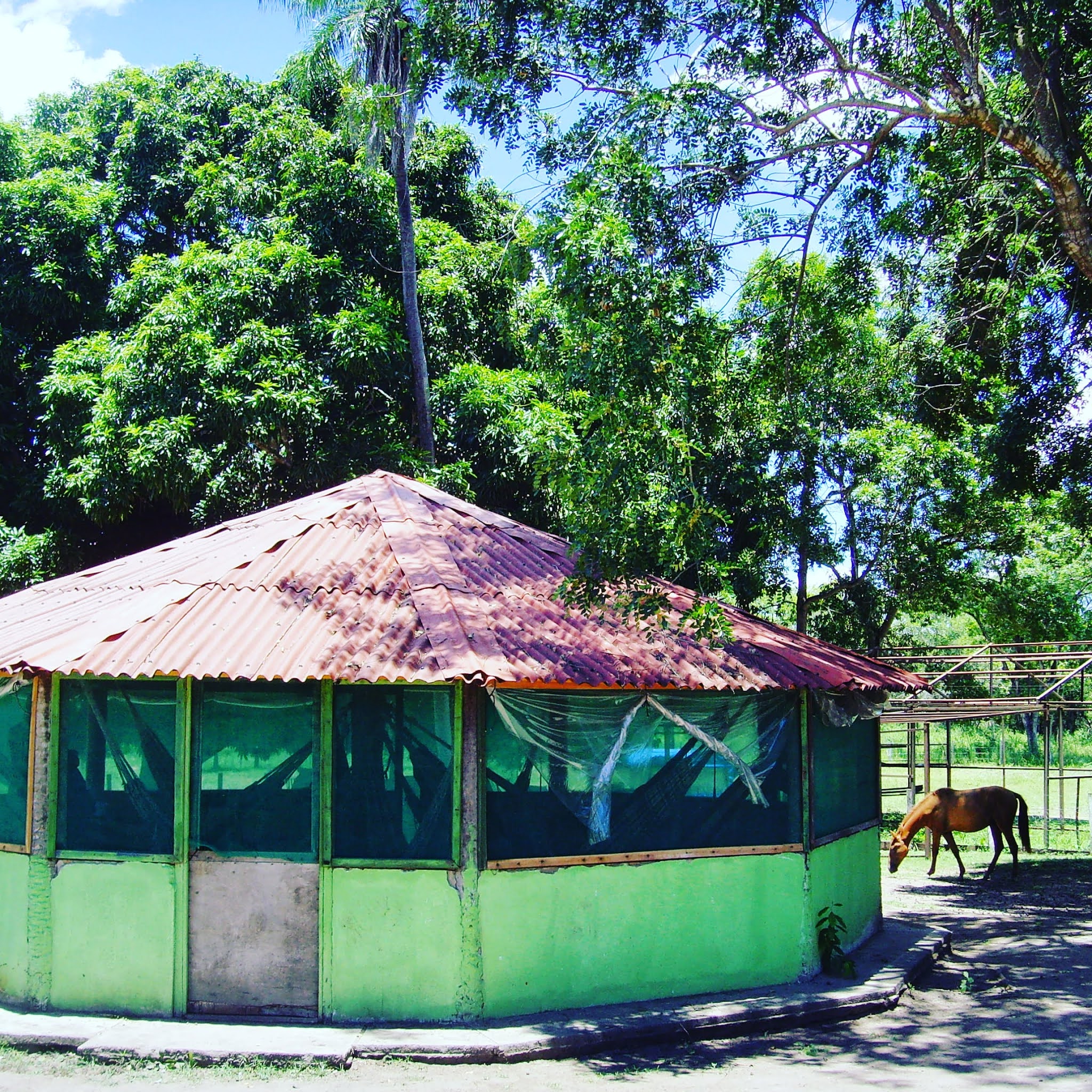 cabin with hammocks in brazils pantanal