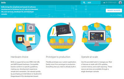 Google OS "Brillo" for IoT of what can take advantage of?