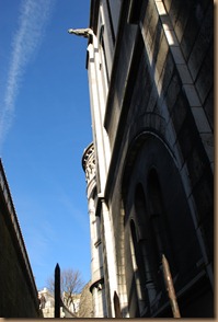DSC_0312