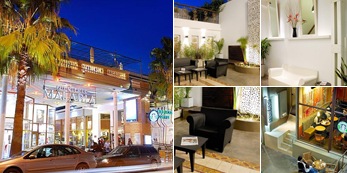 View PetsVentura SECOND OFFICE IS NOW OPEN IN PALERMO SOHO