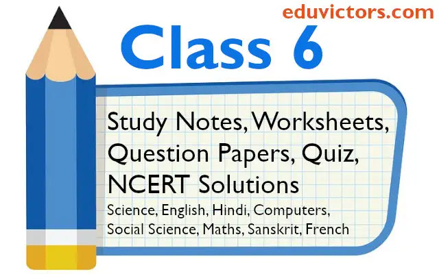 cbse papers questions answers mcq class 6