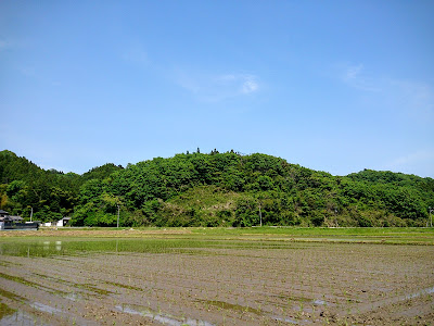 田植え