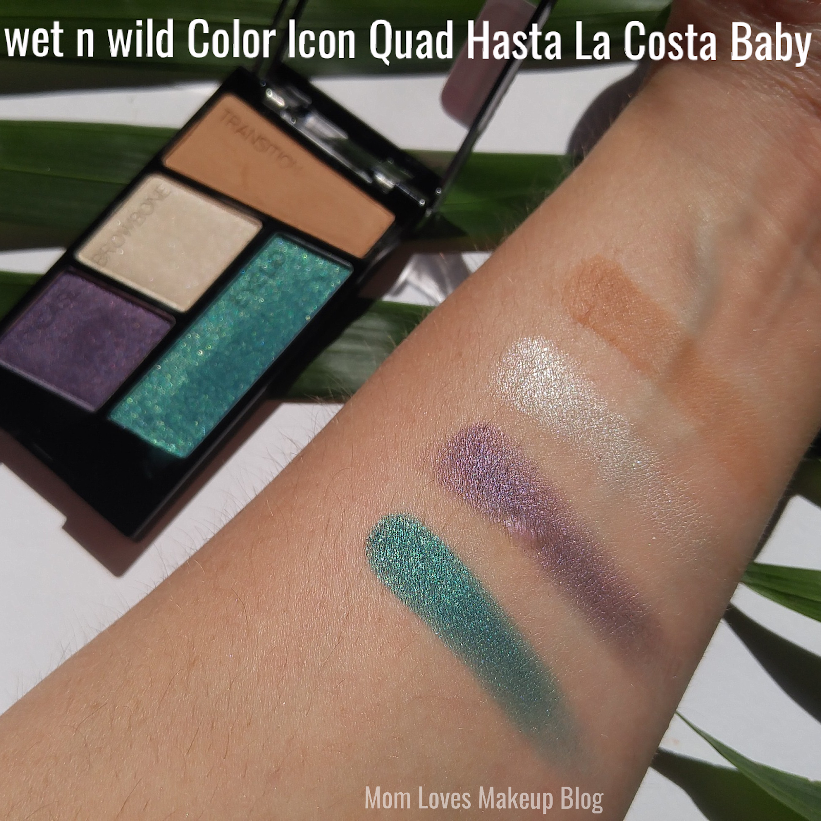 Wet n wild icon. Wet n Wild Color icon e352c. Wet n Wild e343a. Wet n Wild Color icon 111406. Wet n Wild Color icon свотчи.