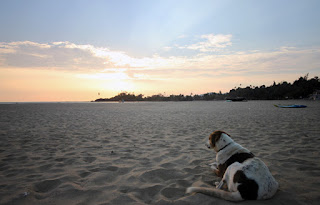 sun set of Arabian sea