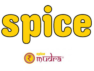 Spice Digital launches m-wallet SpiceMudra