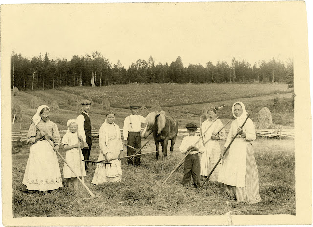 mustavalkoinen kuva miehist, naisista ja lapsista pellolla. Naisilla pitkän hameet, esiliinat ja huivit päässä. Miehillä  suorat housut ja joillakin liivit päällä. Osalla ihmisistä on  haravat kädessä.