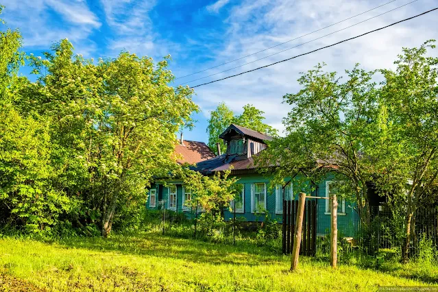 Деревянный, деревенский дом за деревьями