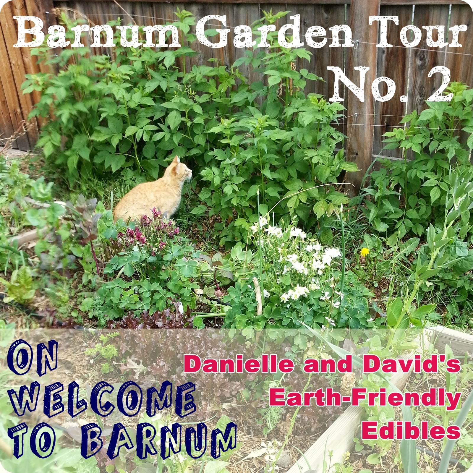 http://welcometobarnum.blogspot.com/2014/06/barnum-garden-tour-danielle-and-davids.html