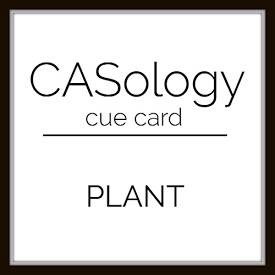 https://casology.blogspot.com/2020/05/week-368-plant.html