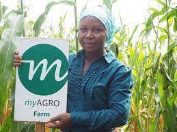 New Job Vacancy at myAgro Farms 2022