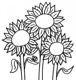 http://warnaigambartk.blogspot.com/2016/05/belajar-mewarnai-bunga-matahari.html