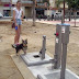 Spanish Town Installs World’s First Public Toilet for Dogs