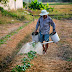 Solicitud de Empleo para Agroatlas Europa