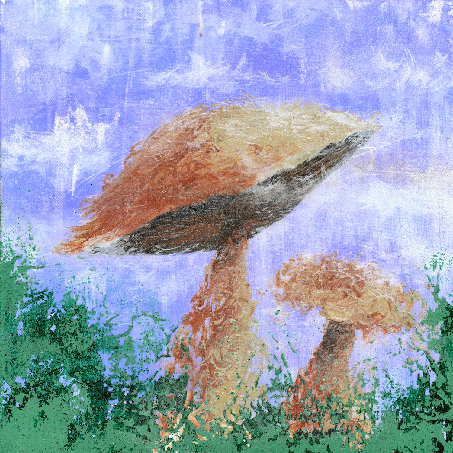  "Mushroom Mist" by Emily Magone
