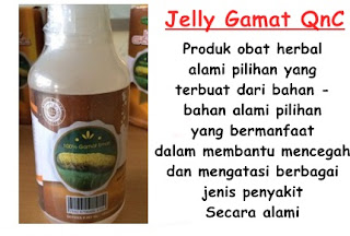 Ahlinya Obat QnC Jelly Gamat