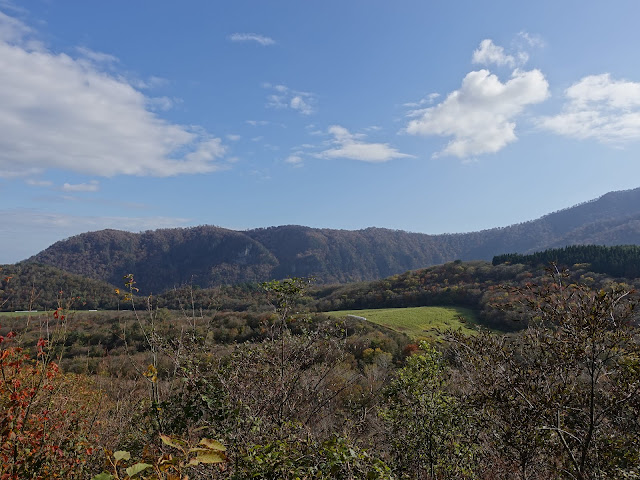 大山の香取の山道からの眺望