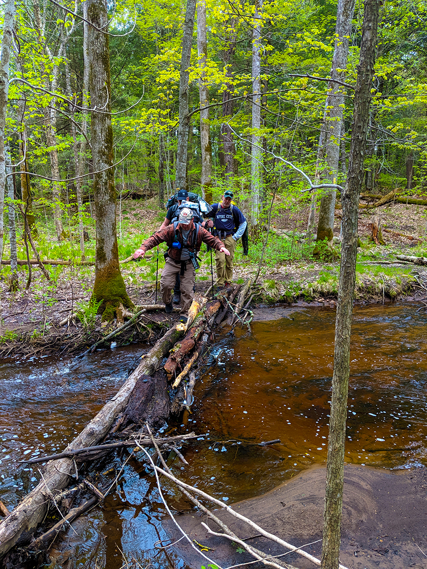 Stream Crossing on the IAT Lake Eleven Segment