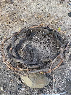 Grape vine in Santorini showing the basket shape or kouloura.