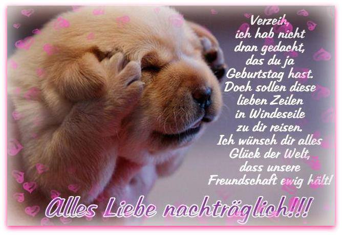 alles gute zum geburtstag witze