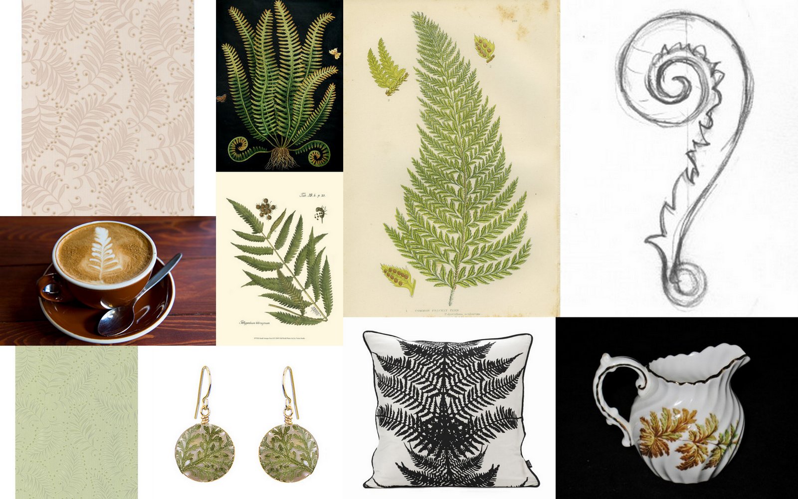 The Adorned Home  Fern Patterns