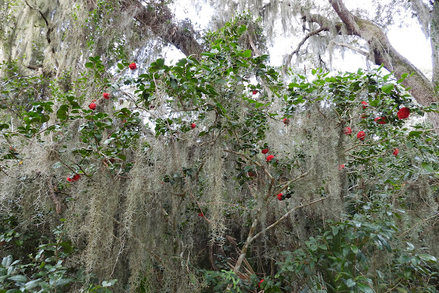 Fort Mose Historic State Park
