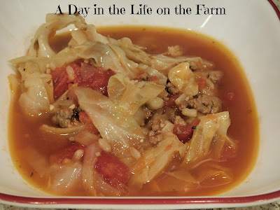 Stuffed Cabbage Soup