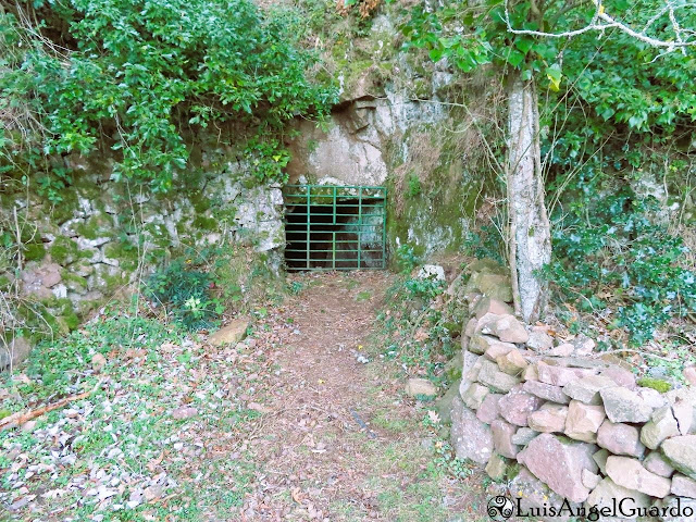 Font de la Mina de l'Obis - Vimbodí i Poblet