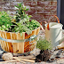 How to Make a Herb Planter?