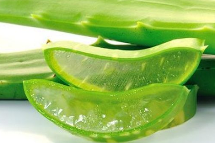 7 Benefits of aloe vera for your health