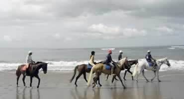  Bali Horse Riding and Jatiluwih Tour