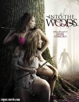 Into The Woods (2012) DVDRip www.cupux-movie.com